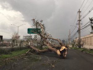 Imatge d'una avinguda de San Juan de Puerto Rico / Israel M. Ayala