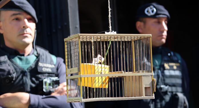 Recreació d'una urna dins una gàbia davant la guàrdia civil al Departament de Governació / Pere Francesch