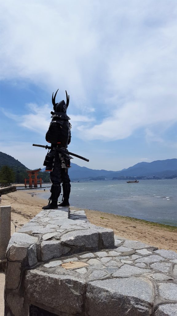 Un samurai vigila l'horitzó